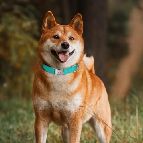 Silent Dog Collar Personalized with Name Phone Number Laser Engraved