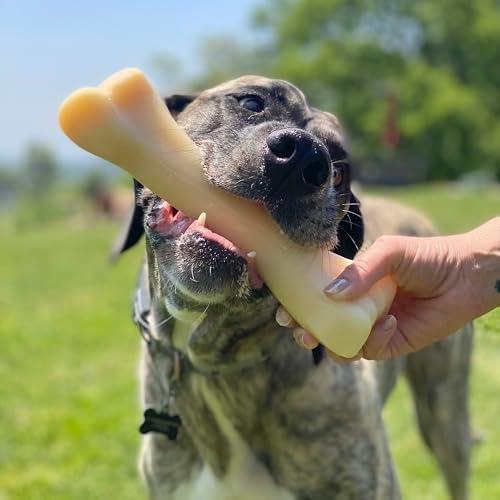 Nylabone Power Chew Monster Bone Dog Chew Toy, Chicken Flavor, XX-Large