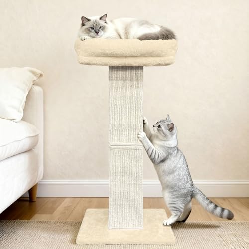 Cat Scratching Post with Plush Perch for Indoor Cats, 32 Inch, Beige