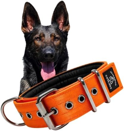 SparkDog Padded Working Dog Collar (Bright Orange, 2" Padded (16-21" Neck)