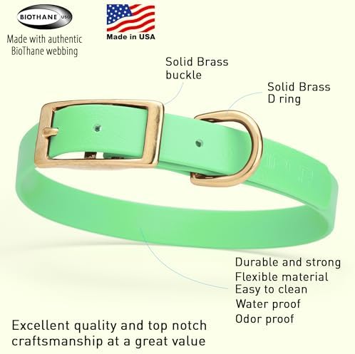 Viper Biothane Heavy Duty Waterproof Dog Collar Strong Coated Nylon Webbing w/Solid Brass Hardware Odor-Proof for Easy Care to Clean High Performance Fits Small Medium or Large Dogs, Sea Foam Green