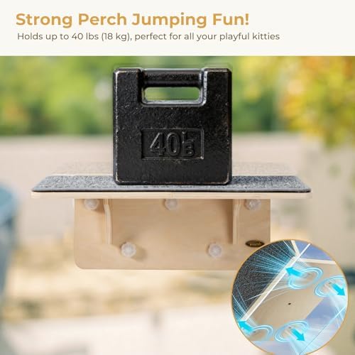 Pecute 2-in-1 Large Cat Window Perch & Wall Shelves, Solid Wood, 21"x11"