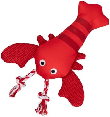 Fringe Studio Floating Dog Toy with Rope Feeling Claw-Some, Pet Shop Collection (640027)