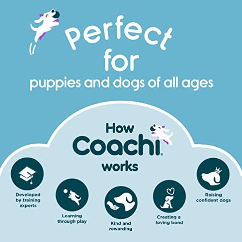 Coachi Tuggi Ball - Interactive Dog Toy for Tug of War & Play
