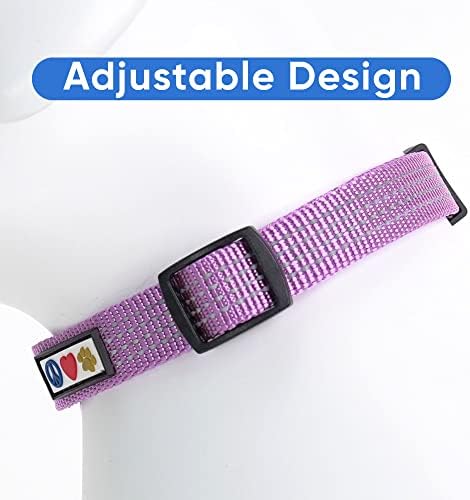 Pawtitas Reflective Dog Collar for Large Dogs – Adjustable Nylon Collar with Quick-Release Buckle | Fits Neck 16–26 in | Night Safety Training Collar | L | Orchid