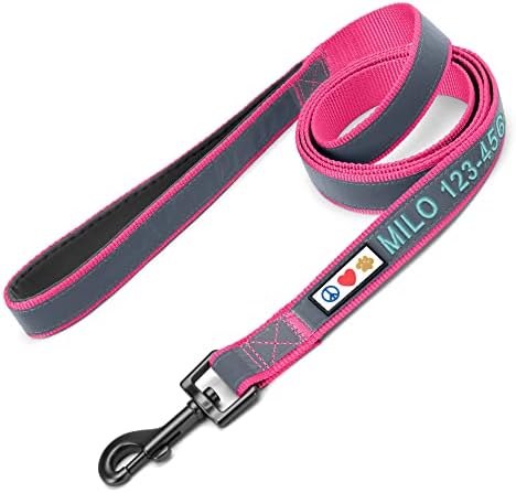 Pawtitas Personalized Pink Dog Leash 6 ft Custom ID Lead for Dogs & Puppies Reflective Comfortable Padded Handle Embroidered Name & Phone Number