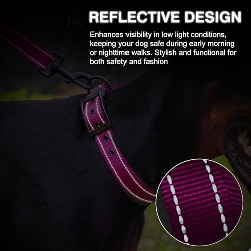 Personalized Nylon Dog Collar with Embroidered Name & Number