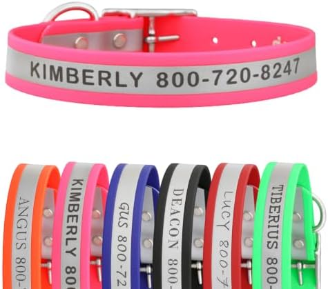 dogIDs Personalized Reflective Waterproof Dog Collar - Custom, Durable, Adjustable, Odor Resistant, Safe, Engraved - Pink, 1 in x 18 in (Fits Neck Sizes: 16-20 in)