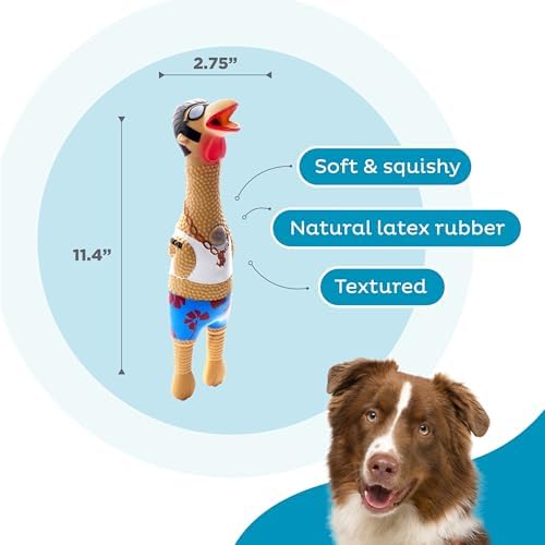 Outward Hound by Charming Pet Squawkers Earl Latex Squeaky Rubber Chicken Dog Toy,Funny Interactive Holiday Toy for Dogs,Large Size,(Pack of 2)