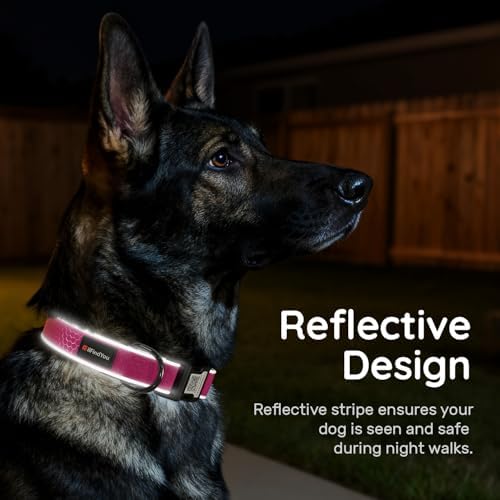 Personalized Dog Collar with QR Code Dog Tag, Oxford Rose Red L