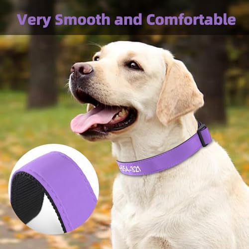 Kuley Personalized Dog Collar, Embroidered with Pet Name and Phone Number