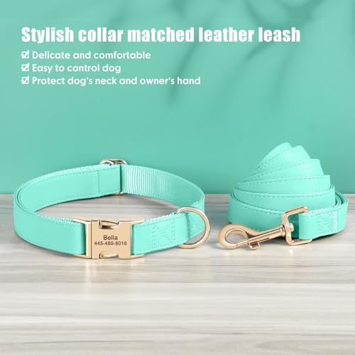 PET ARTIST Personalized Dog Collars, Custom Dog Collar with Engraved Silent Name Tag, Gold Quick Released Buckle & Soft Nylon Padded, Elegant Colors & Matching Leash for Small Dogs,Mint,S Fit 9-14"