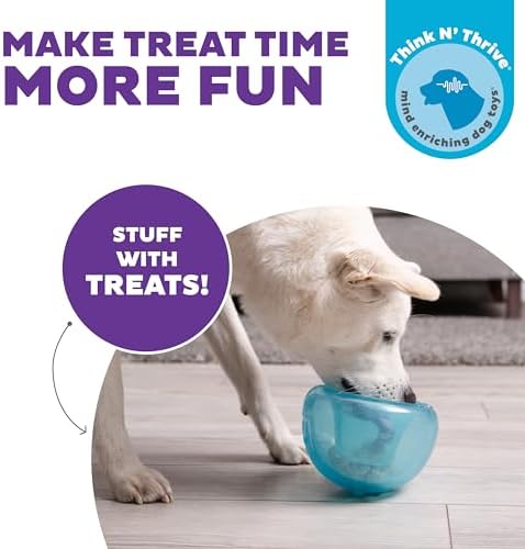 Outward Hound Snoop Interactive Treat Dispensing Dog Toy, Blue, 5"