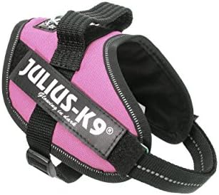Julius-K9, 16IDC-PN-M, IDC Powerharness, Dog Harness, Size: Mini, Pink