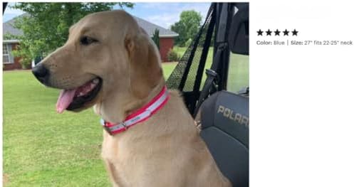 Reflective Dayglo Dog Collar Free Engraved Brass ID tag USA (Pink 25")