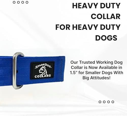 SparkDog 1.5” Working Dog Collar Heavy Duty Fits 13-19” Necks (Blue, 1.5")