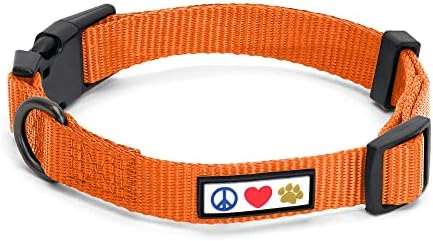 Pawtitas Solid Color Orange Puppy or Dog Collar, Small