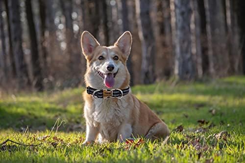 THAIN Reflective Personalized Dog Collar Engraved Custom Buckle- Soft Nylon Pet Collar with Name Plate Engraved Name, Phone Number, Silent,No Noise Adjustable (S, Black)
