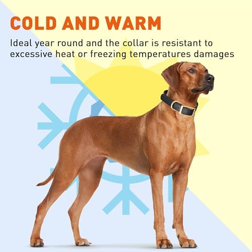 Viper Biothane Heavy Duty Waterproof Dog Collar Strong Coated Nylon Webbing w/Solid Brass Hardware Odor-Proof Easy to Clean High Performance Fits Small Medium or Large Dogs, Black
