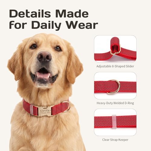 Custom Dog Collar with Name and Phone Number