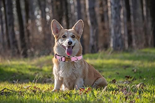 THAIN Reflective Personalized Dog Collar Engraved Custom Buckle- Soft Nylon Pet Collar with Name Plate Engraved Name, Phone Number, Silent,No Noise Adjustable (XS, Pink)