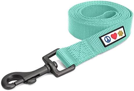 Pawtitas Solid 6 ft Teal Dog Leash XXS/Cat Custom Name and Phone Embroidery Strong Nylon Leash for Small Breeds