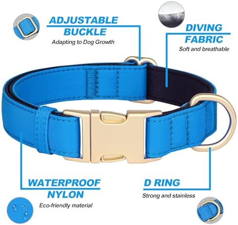 Didog Soft Padded Dog Collar for Large Dogs, Blue, L Neck 16-22"