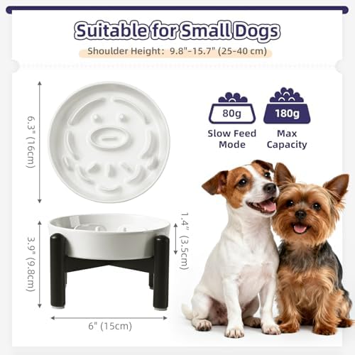 Elevated Slow Feeder Dog Bowl, 0.8 Cups Ceramic Raised Slow Feeder with Stainless Stand, 6.3 Inch Wide Lifted Dog Bowl for Small Breeds to Control Eating Speed, White