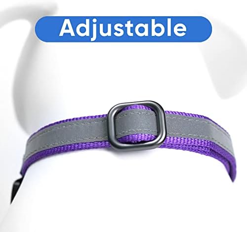 Pawtitas Personalized Dog Collar Martingale Dog Collar with Name Phone Number Reflective Martingale Dog Collar Customized Collar for Small Dogs | Purple Custom Dog Collars for Small Dogs