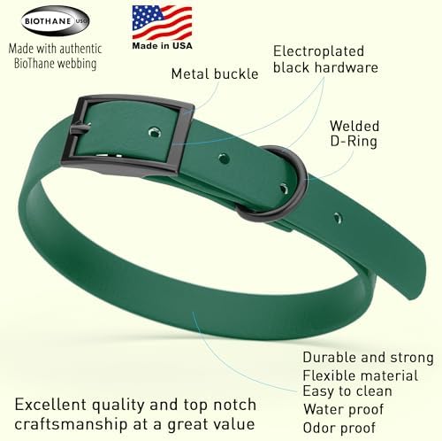 Dogline Biothane Waterproof Dog Collar Strong Coated Nylon Webbing with Black Hardware Odor- Proof for Easy Care Easy to Clean High Performance Fits Small Medium or Large Dogs, Hunter Green