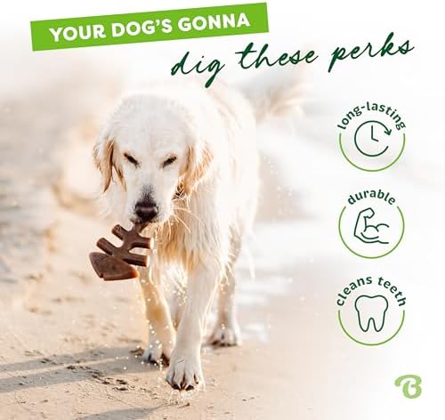 Benebone Tiny 2-Pack Fishbone Durable Dog Chew Toys, Real Fish