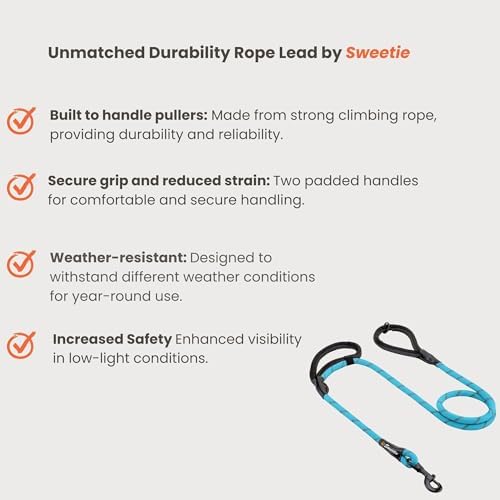 Zerosky Sweetie Rope Dog Lead - Strong Leash Blue with 2 Comfortable Padded Handles 5 FT for Medium & Large Size Pets - Reflective, Weather Resistant & O-Ring