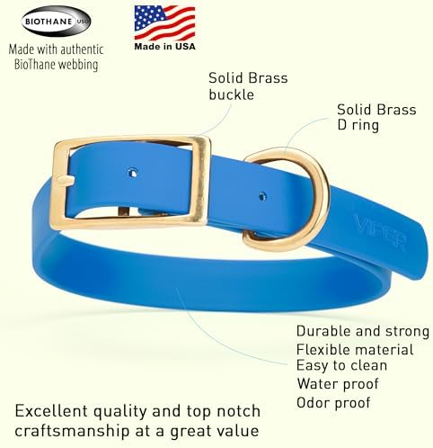 Viper Biothane Heavy Duty Waterproof Dog Collar Strong Coated Nylon Webbing w/Solid Brass Hardware Odor-Proof Easy to Clean High Performance Fits Small Medium or Large Dogs, Cerulean Blue