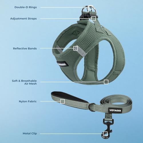 Best Pet Supplies Voyager Step-in Air All Weather Mesh Harness and Reflective Dog 5ft Leash Combo with Neoprene Handle, for Small, Medium and Large Breed Puppies - Moss Green, Large