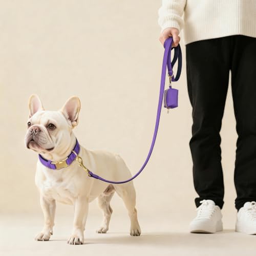 Didog Soft Padded Dog Collar for Medium Dogs, Purple, M Neck 14-18"