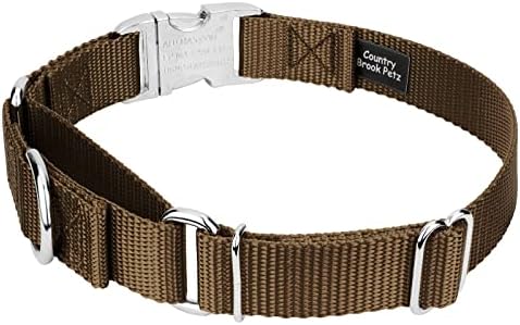 Country Brook Petz - Martingale Dog Collar - Heavy Duty Nylon Adjustable Martingale Dog Collar with Metal Buckle for Small Medium Large Breeds - 30+ Color Options (5/8 Inch, Extra Small, Coyote Tan)