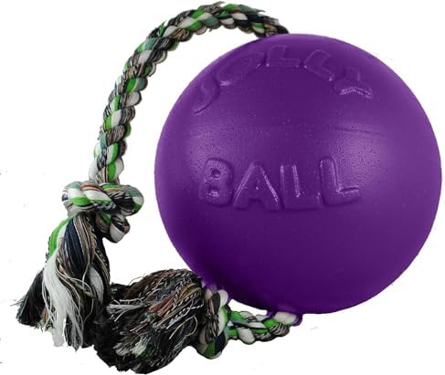 Jolly Pets Romp-N-Roll Rope & Ball Dog Toy, 4.5 in Small, Purple