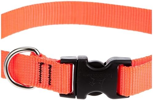 LupinePet Basics 3/4" Blaze Orange 13-22" Adjustable Collar for Medium and Larger Dogs