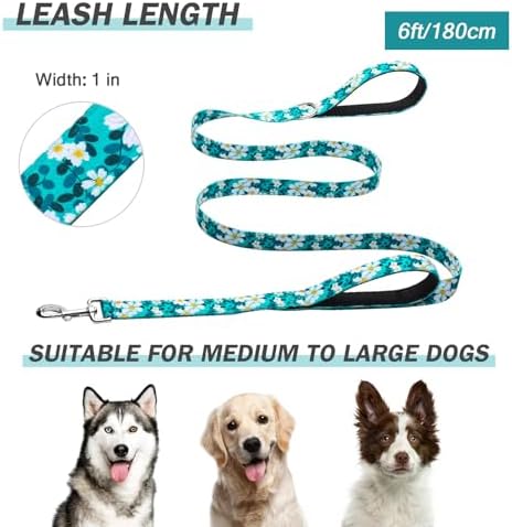 Hikiko 6FT Dog Leash Padded Double Handle with Designed Pattern