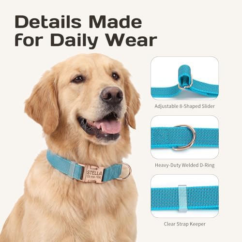 Custom Dog Collar with Name and Phone Number