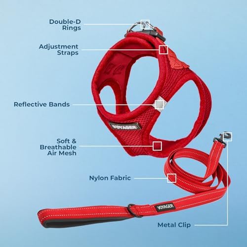Best Pet Supplies Voyager Step-in Air All Weather Mesh Harness and Reflective Dog 5ft Leash Combo with Neoprene Handle, for Small, Medium and Large Breed Puppies - Red, Small