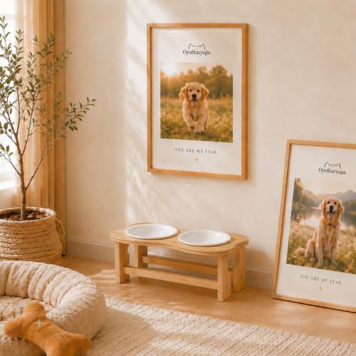 Bone Elevated 7.1" Ceramic Medium Dog Bowls, Raised Dog Bowl Stand