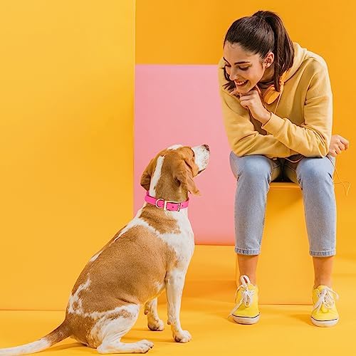 Viper Biothane Heavy Duty Waterproof Dog Collar Strong Coated Nylon Webbing w/Solid Brass Hardware Odor-Proof Easy to Clean High Performance Fits Small Medium or Large Dogs, Passionfruit Pink