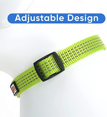 Pawtitas Reflective Dog Collar for X-Small Dogs – Adjustable Nylon Puppy Collar with Quick-Release Buckle | Fits Neck 8–13 in | Night Safety Training Collar | XS | Green