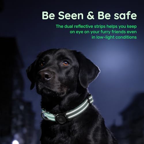 Airtag Dog Collar for Medium Dogs, Reflective Dog Collar with Airtag Holder