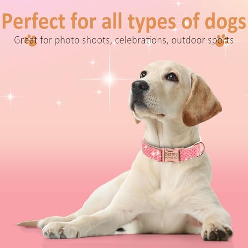 Personalized Plaid Dog Collar with Glitter