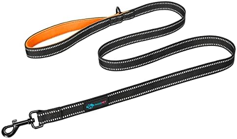 PHOEPET 5 Feet Heavy Duty Dog Leash - Reflective - Soft Padded Handle