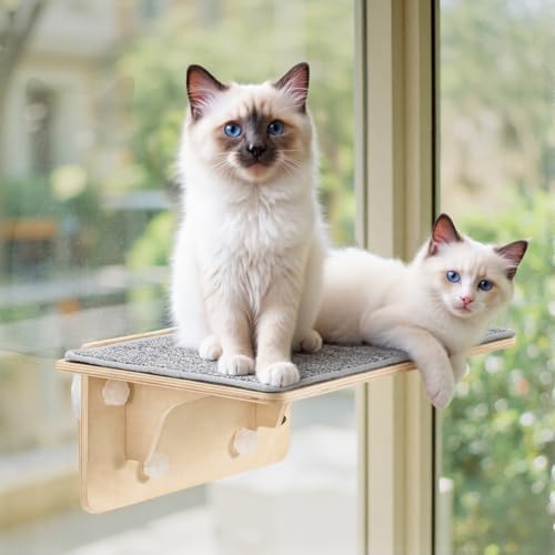 Pecute 2-in-1 Large Cat Window Perch & Wall Shelves, Solid Wood, 21"x11"