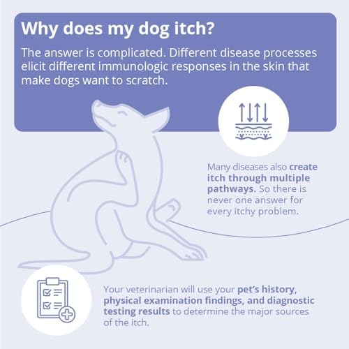 MiconaHex+Triz Shampoo for Dogs, Cats and Horses, Gallon