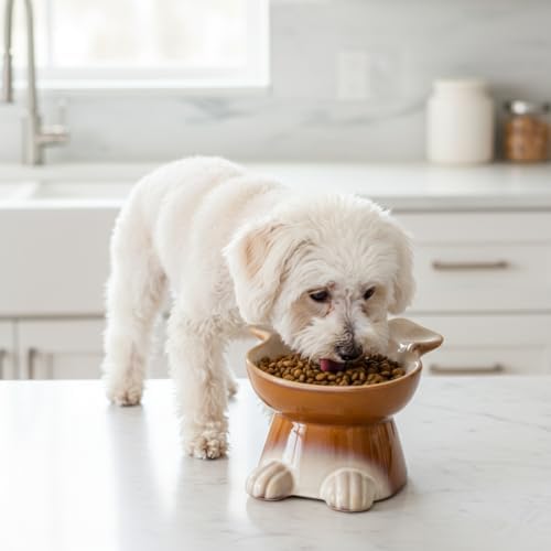Nihow Elevated Ceramic Dog Bowls: 6.5 Inch Raised Dog Bowl for Food & Water